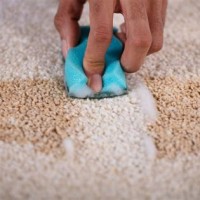 How To Get Stains And Smell Out Of Carpet